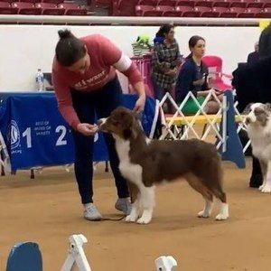 Meet your Posher, Danielle